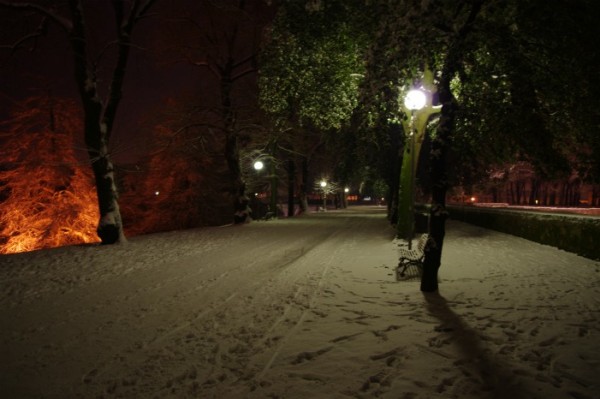 Guarda che anellino da 5 km in notturna