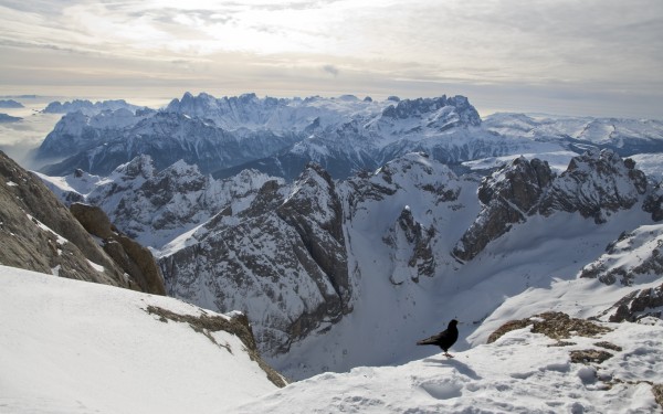 Marmolada