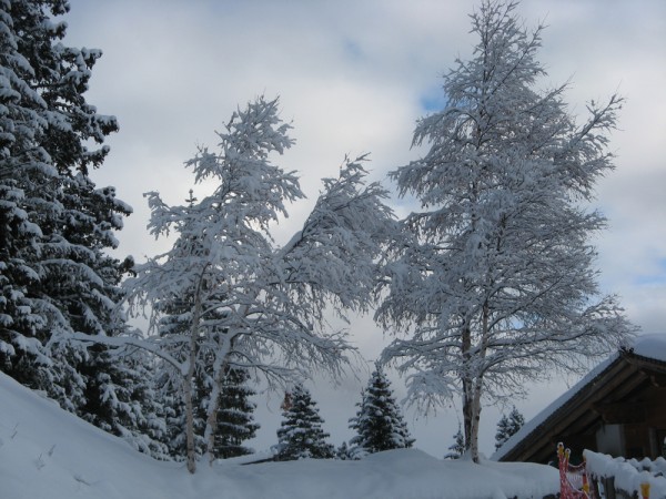 NEVE FRESCA A GARDONE' - PREDAZZO (VALLE DI FASSA - TRENTO