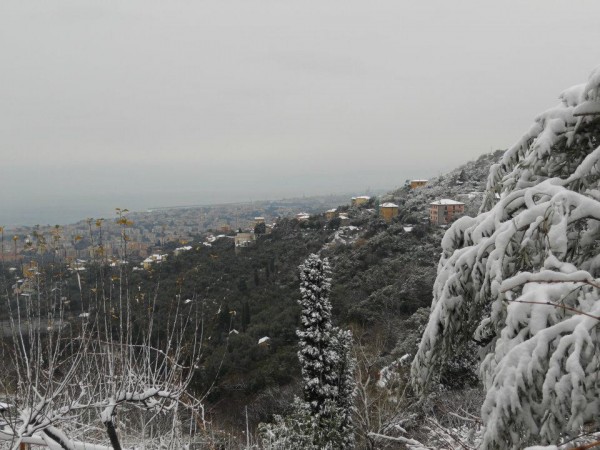 tra neve e ... mare!!