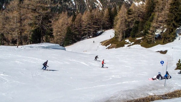 Pista blu fra gli alberi