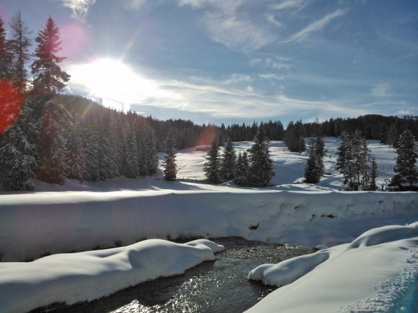 San Cassiano- Armentarola, 29 Gennaio 2014 !