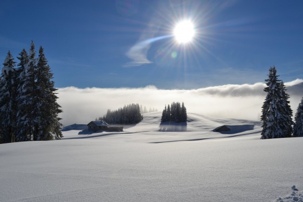 Malga Melegna - Centro Fondo Passo Coe - Folgaria