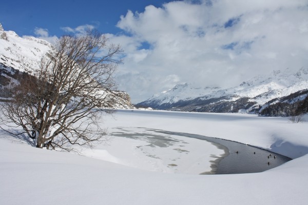 Passo Maloja