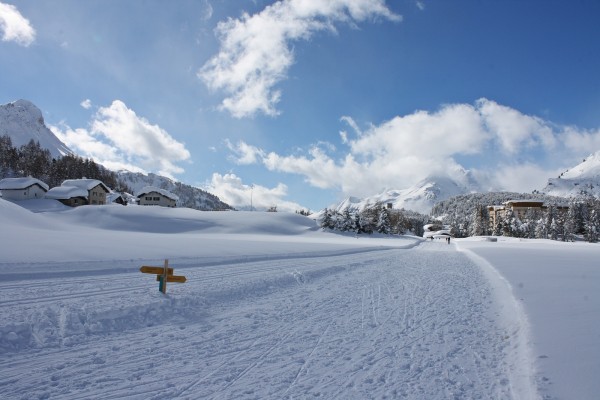 Al passo Maloja