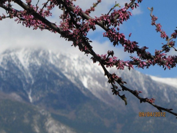 Monte Pollino, CS