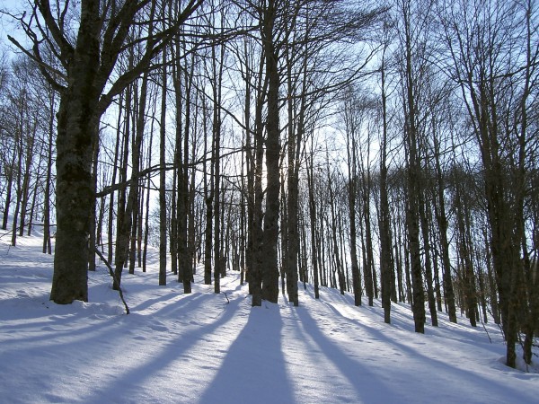 Campo dell'Osso - Monte Livata (RM)