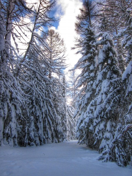 Madonna di Campiglio