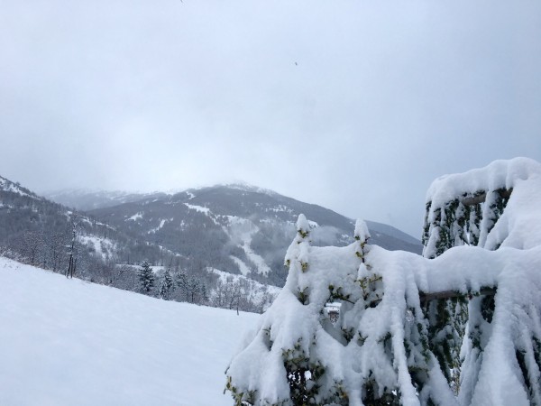bardonecchia4gennaio16.jpg (347.68 KiB) Visto 2276 volte bardonecchia4gennaio16.jpg
