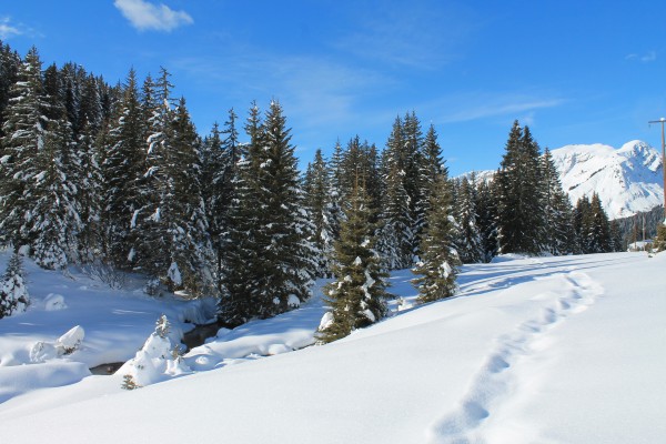 Avoriaz - Portes du Soleil