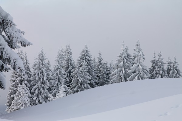 Morzine - Portes du Soleil