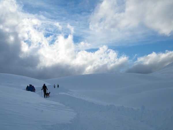 Dolomiti