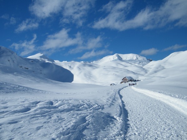 Dolomiti