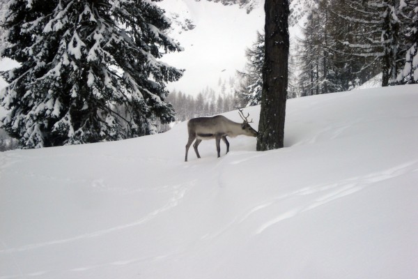 Kronplatz