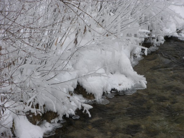 Rio di Pusteria