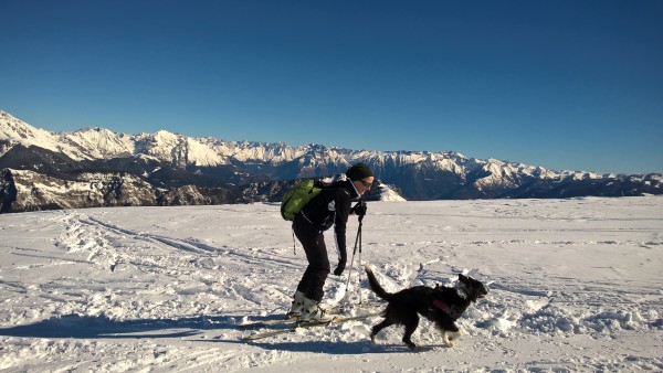 sullo sfondo l'Adamello, visto dal Monte Pora