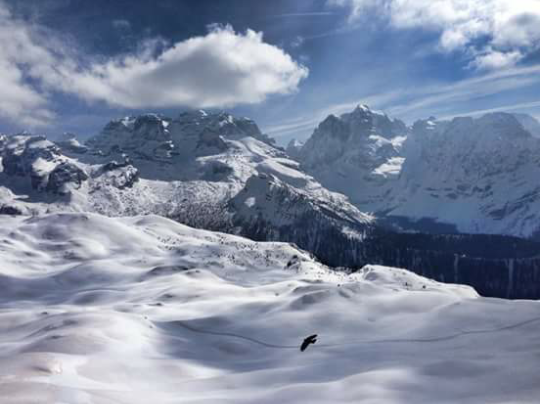 madonna di campiglio.png