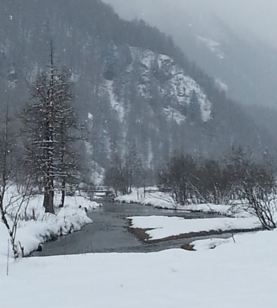 Passo del Tonale (BS)