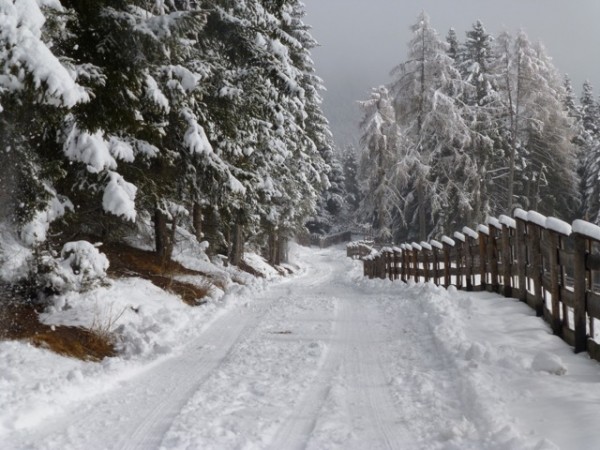 Alpe di Luzon Gennaio 2016