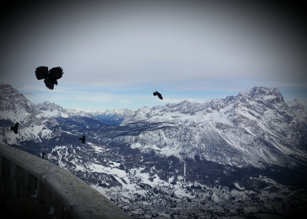 Cortina dalle Tofane