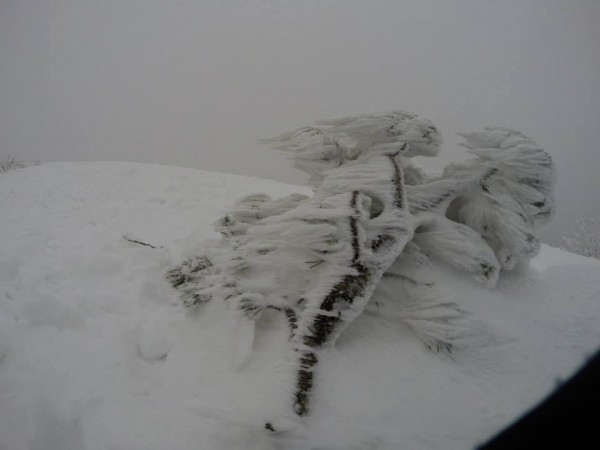 Monte Golac Slovenia