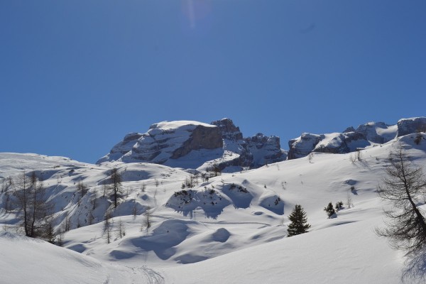 DSC_0152.jpg
