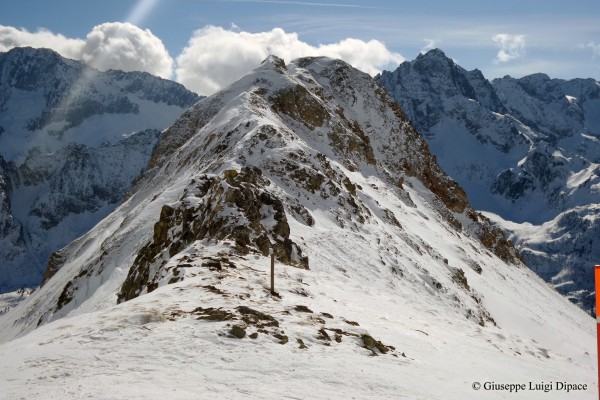 Passo del Tonale, Adamello