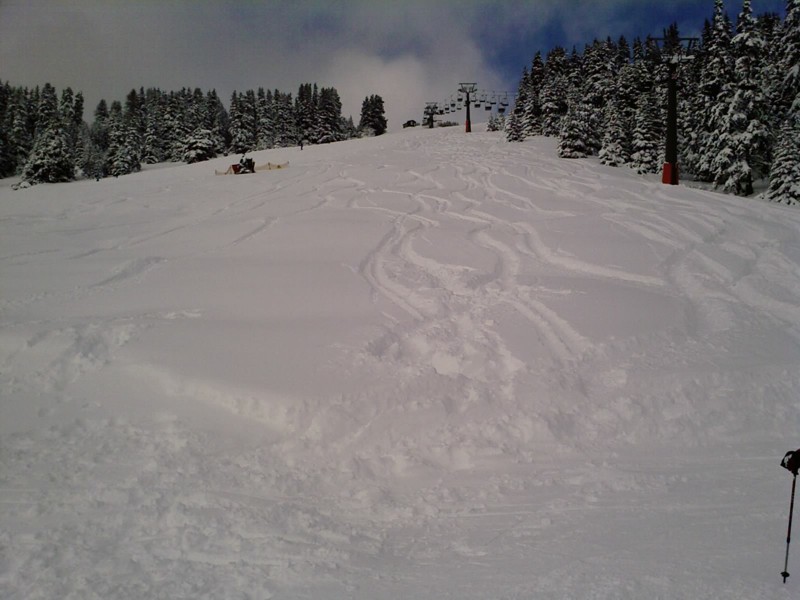 Alpe di Siusi.jpg