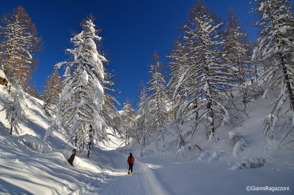 Alpe Devero - Ossola