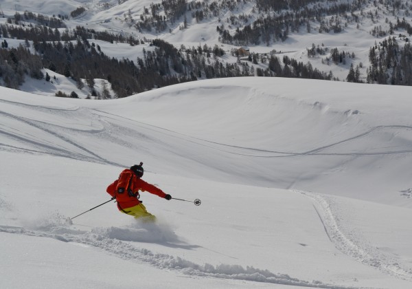 Vars la Foret Blanche France