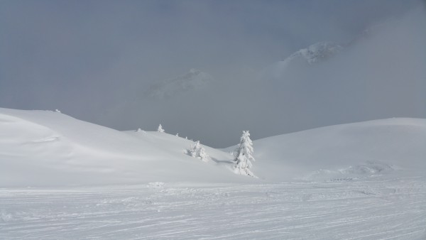 20180202_121759.jpg (3.52 MiB) Visto 17390 volte Madonna di Campiglio