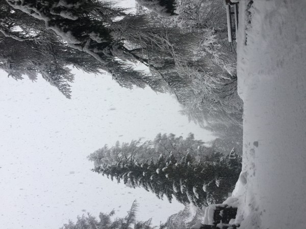 8948865D-46A7-4FDC-B828-9D5CB7EEA7A2.jpeg (2.56 MiB) Visto 16692 volte Folgarida, Val di Sole