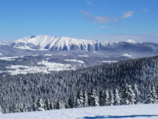 IMG_20200304_112725.jpg (2.31 MiB) Visto 10726 volte IMG_20200304_112725.jpg