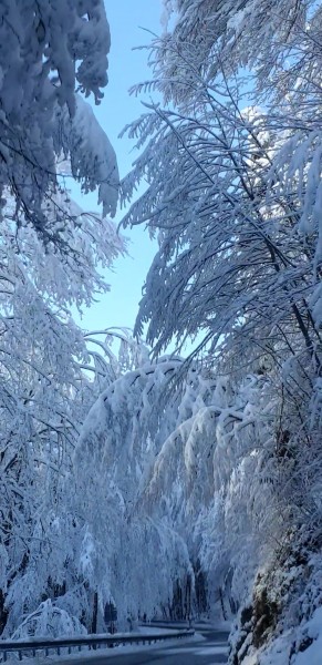 la magia della neve