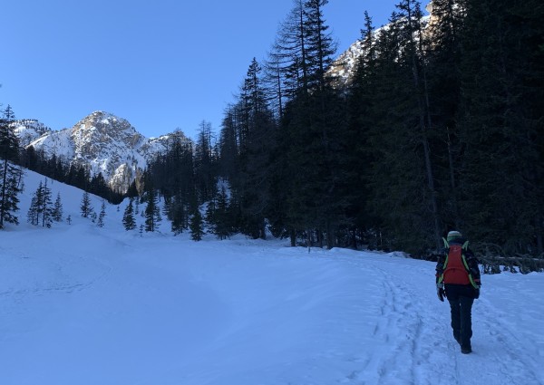 Malga Foresta (Braies)