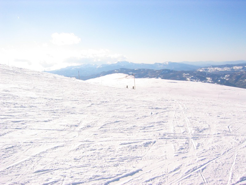 Panorama.JPG