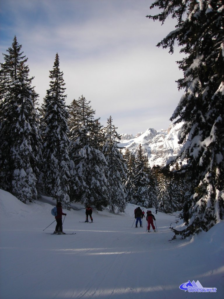 Clicca per vedere l'immagine alla massima grandezza