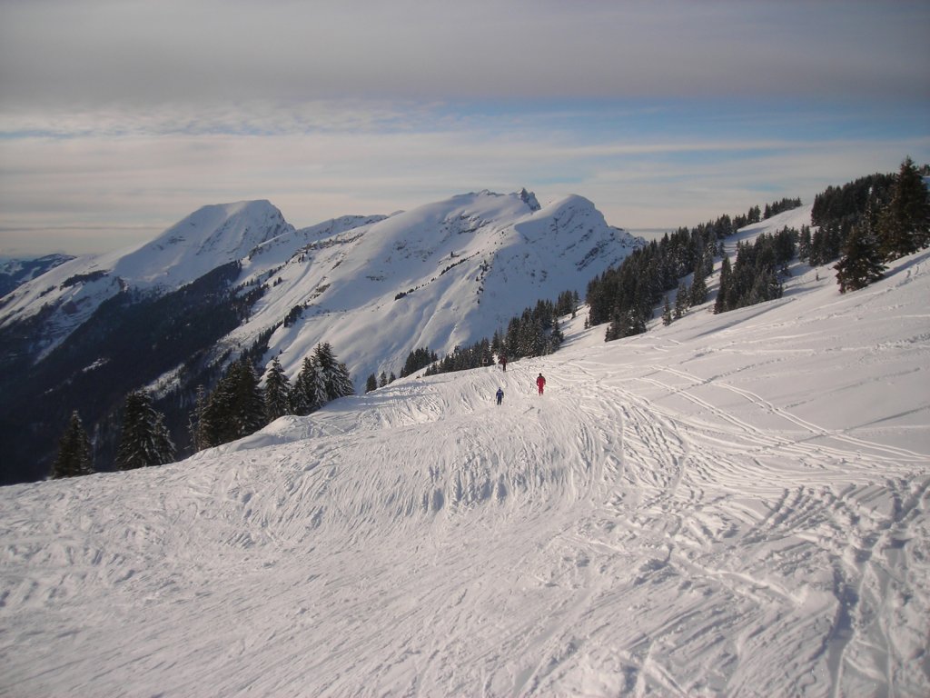 Clicca per vedere l'immagine alla massima grandezza