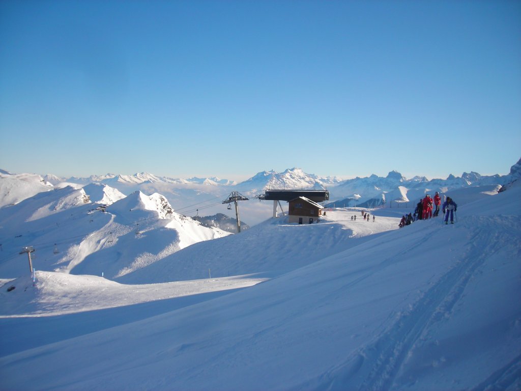 Clicca per vedere l'immagine alla massima grandezza