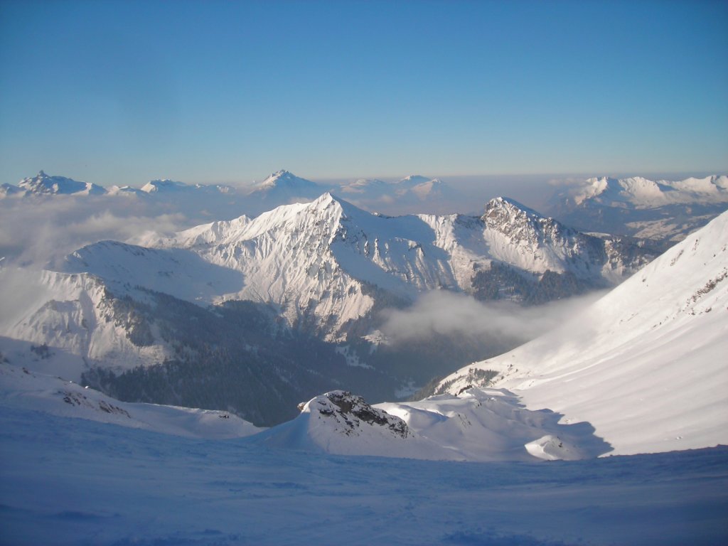 Clicca per vedere l'immagine alla massima grandezza