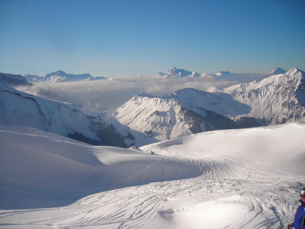 Clicca per vedere l'immagine alla massima grandezza