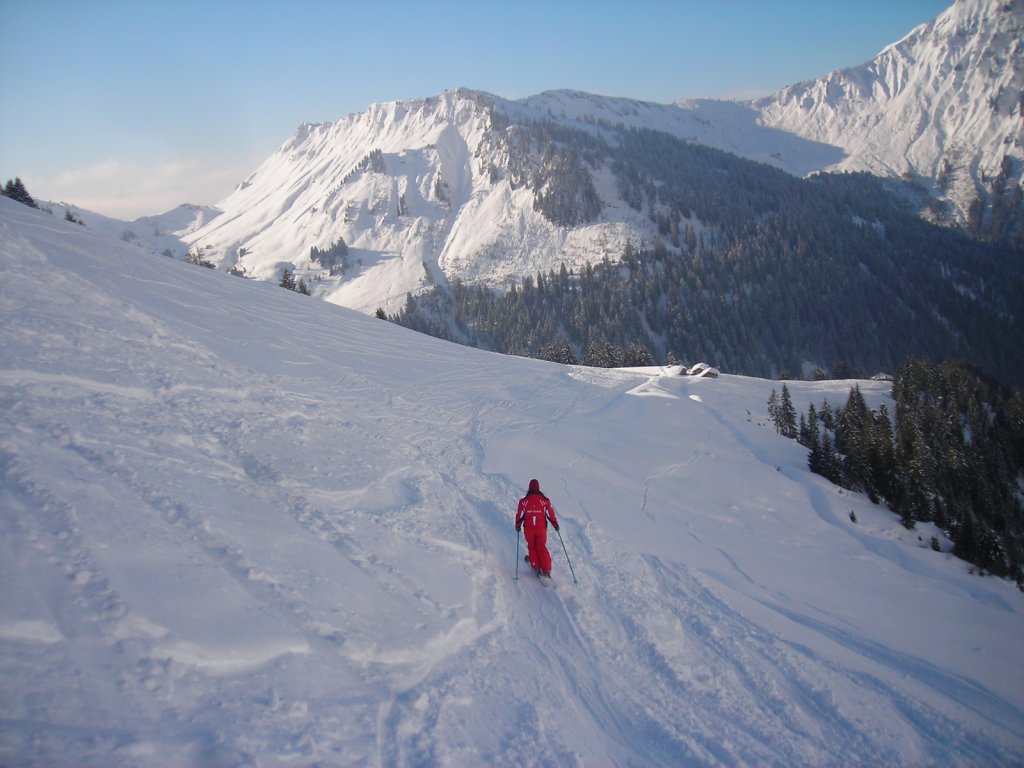 Clicca per vedere l'immagine alla massima grandezza