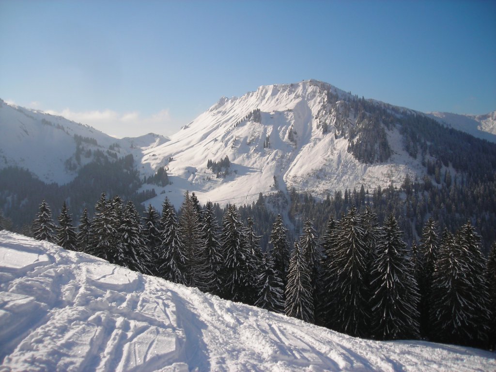 Clicca per vedere l'immagine alla massima grandezza