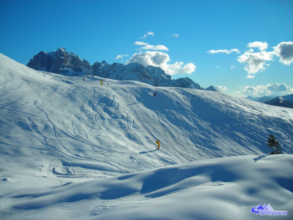 Clicca per vedere l'immagine alla massima grandezza