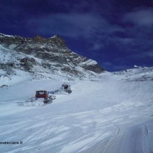 gatti_neve_cervinia.JPG