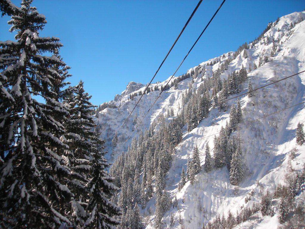 Clicca per vedere l'immagine alla massima grandezza