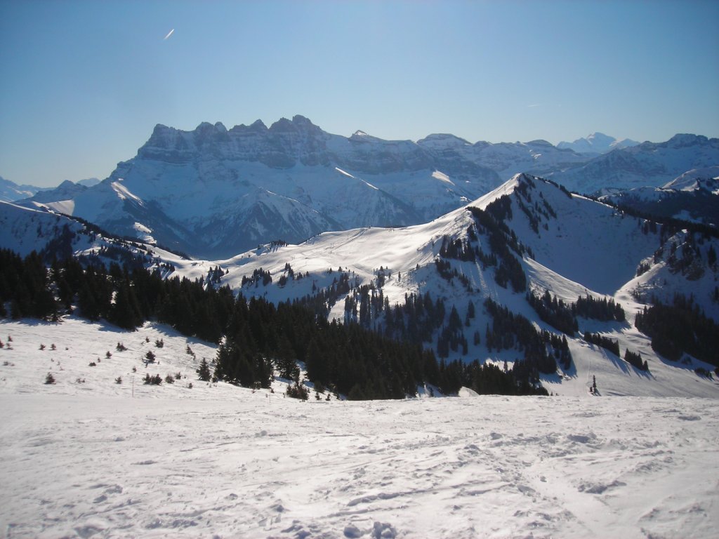 Clicca per vedere l'immagine alla massima grandezza