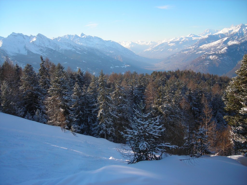 Clicca per vedere l'immagine alla massima grandezza