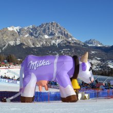 2a-mucca-milka.jpg