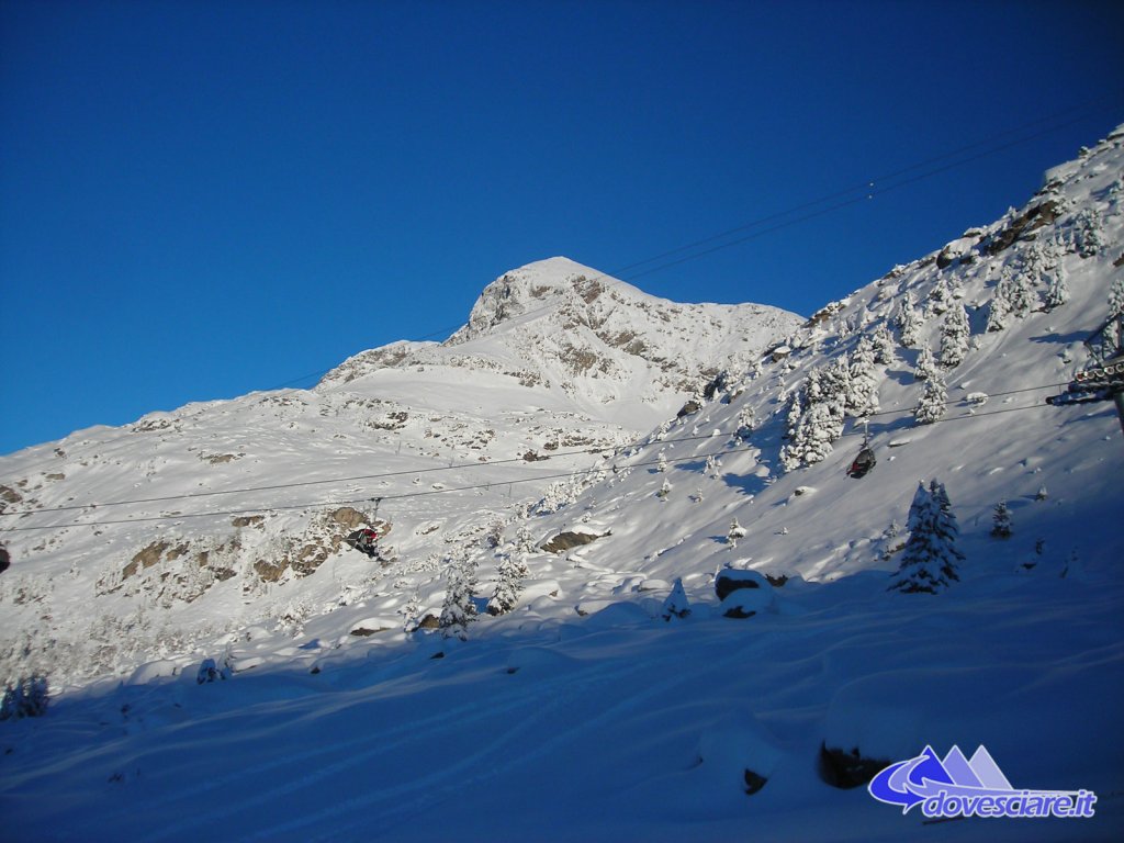 Clicca per vedere l'immagine alla massima grandezza